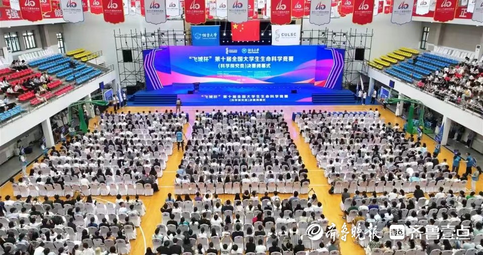 学习到了很, 经过网络评