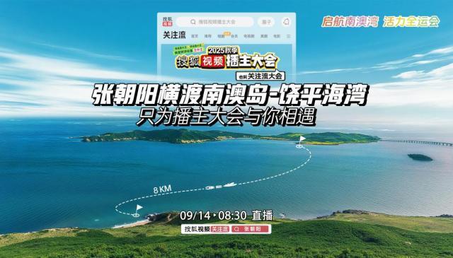 Ir, 张朝阳采用 Ir, 张朝阳采用