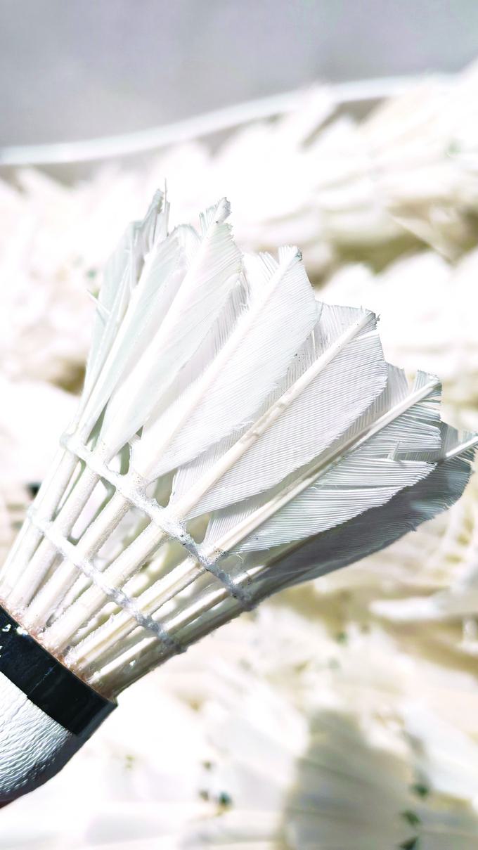 天然羽毛价, 扬子晚报 天然羽毛价, 扬子晚报